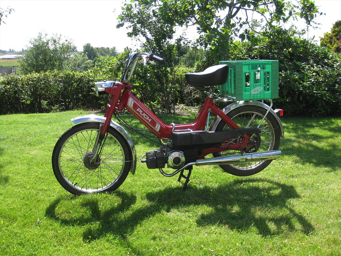Puch Maxi k billede 5
