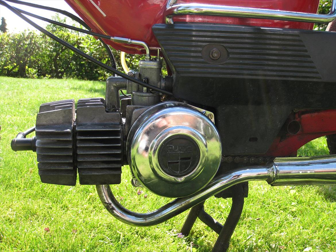 Puch Maxi k billede 10