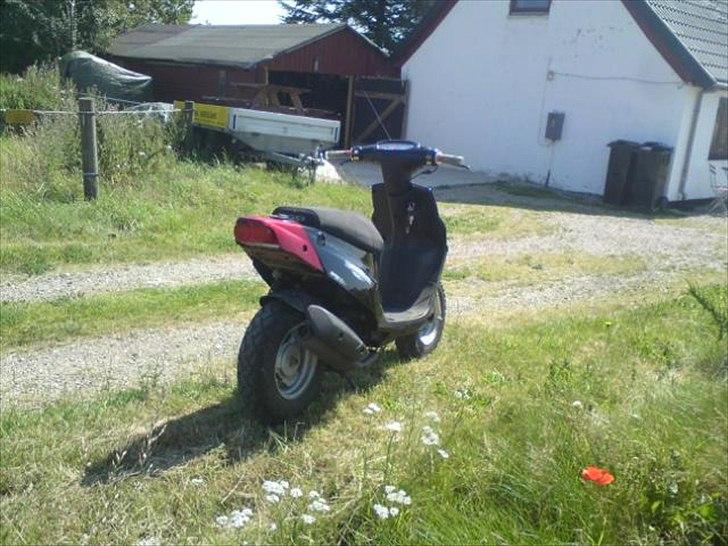 PGO Hot 50  billede 2