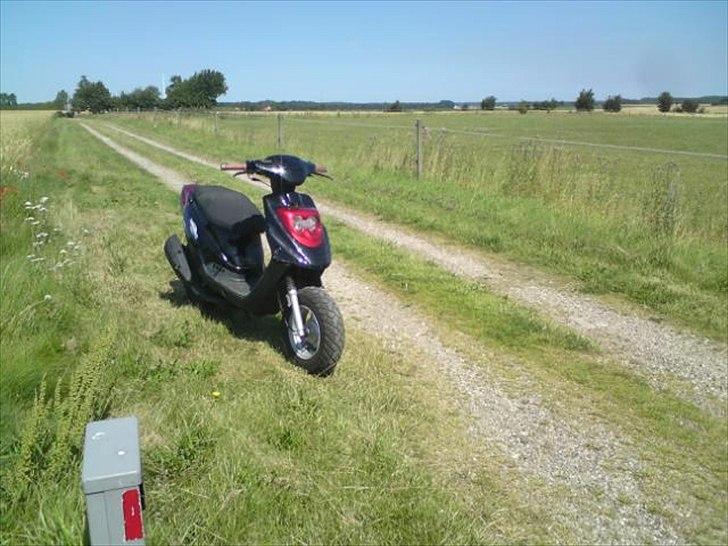 PGO Hot 50  billede 4