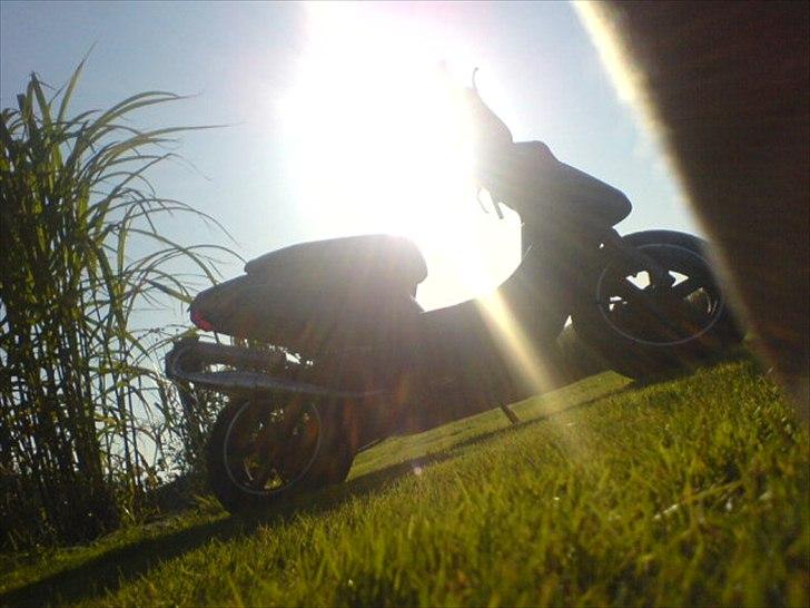 PGO HOT Speed Devil billede 19