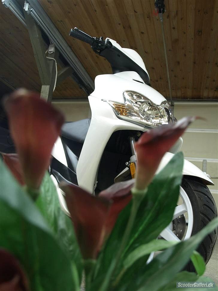 Yamaha jog r billede 2