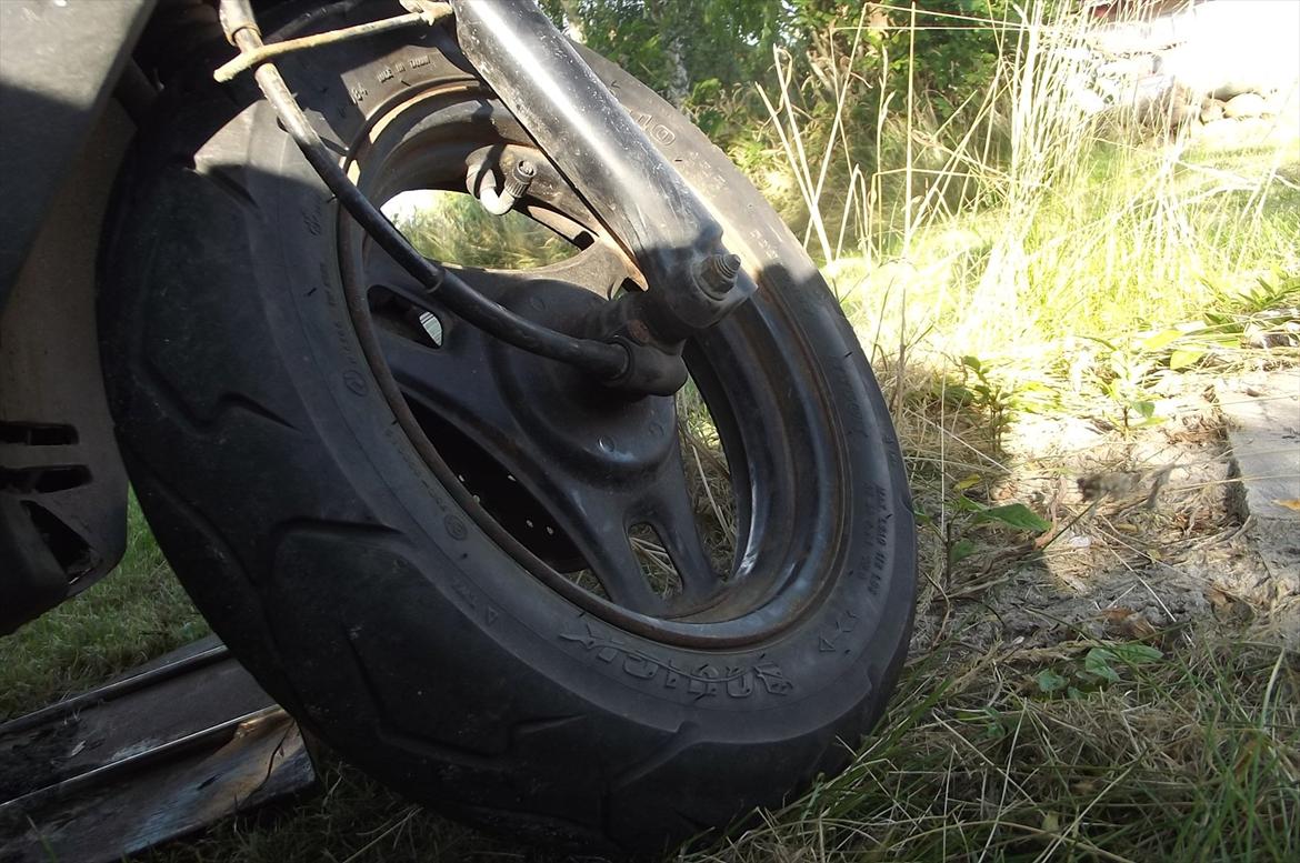 PGO comet SLOGT billede 7