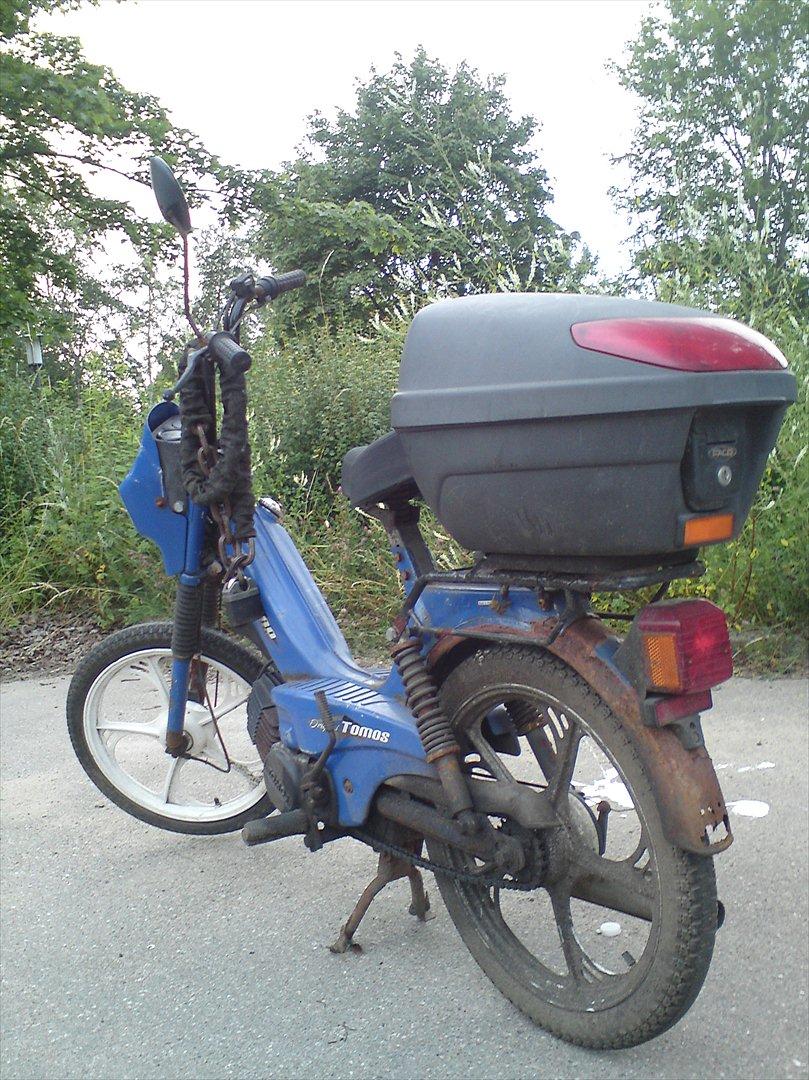 Tomos Quadro 30er billede 6