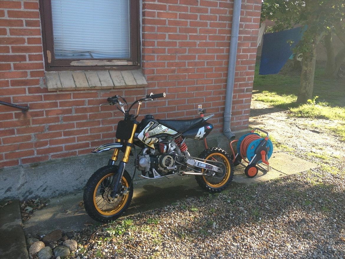 Pitpro BSE Pit Monster 125cc billede 2