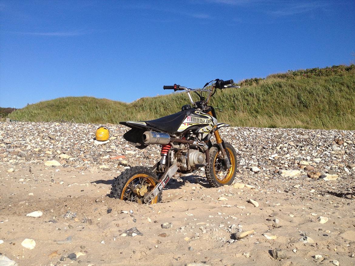 Pitpro BSE Pit Monster 125cc billede 5