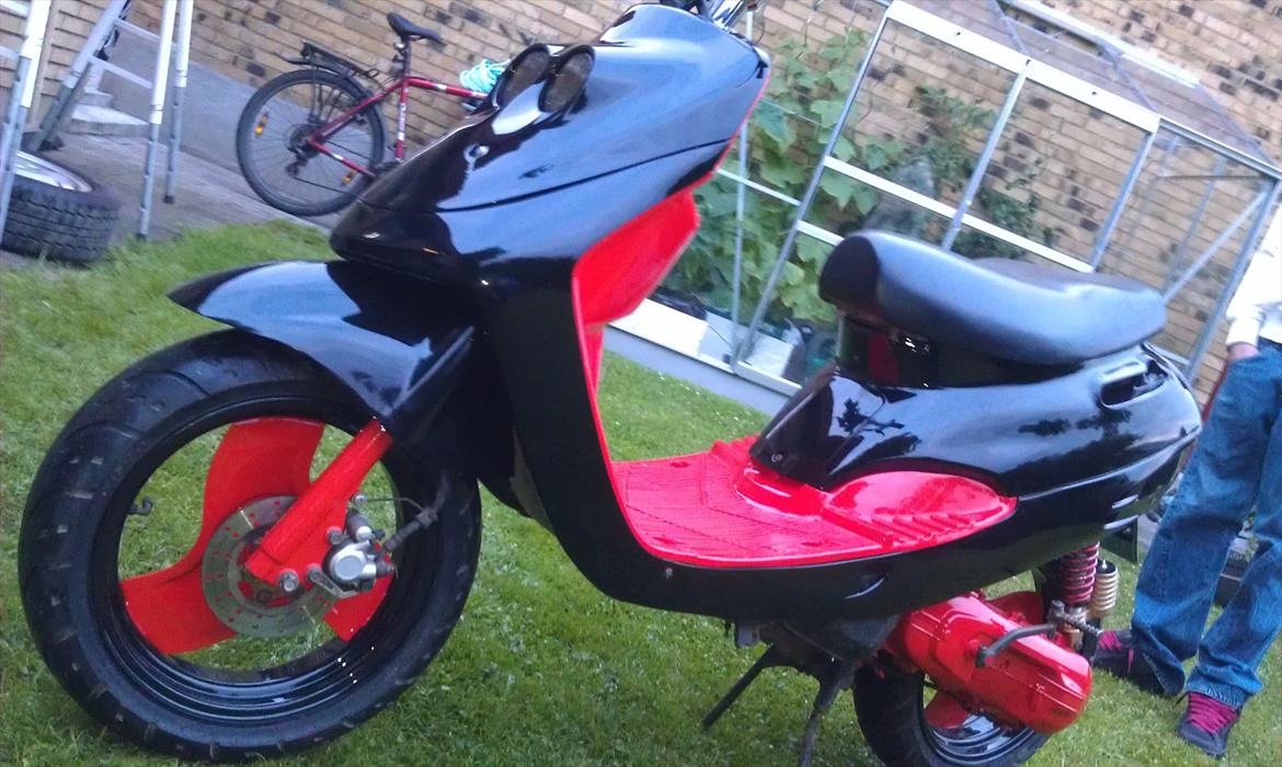 Adly cat 50 billede 1