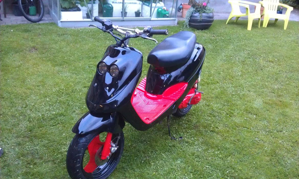 Adly cat 50 billede 2