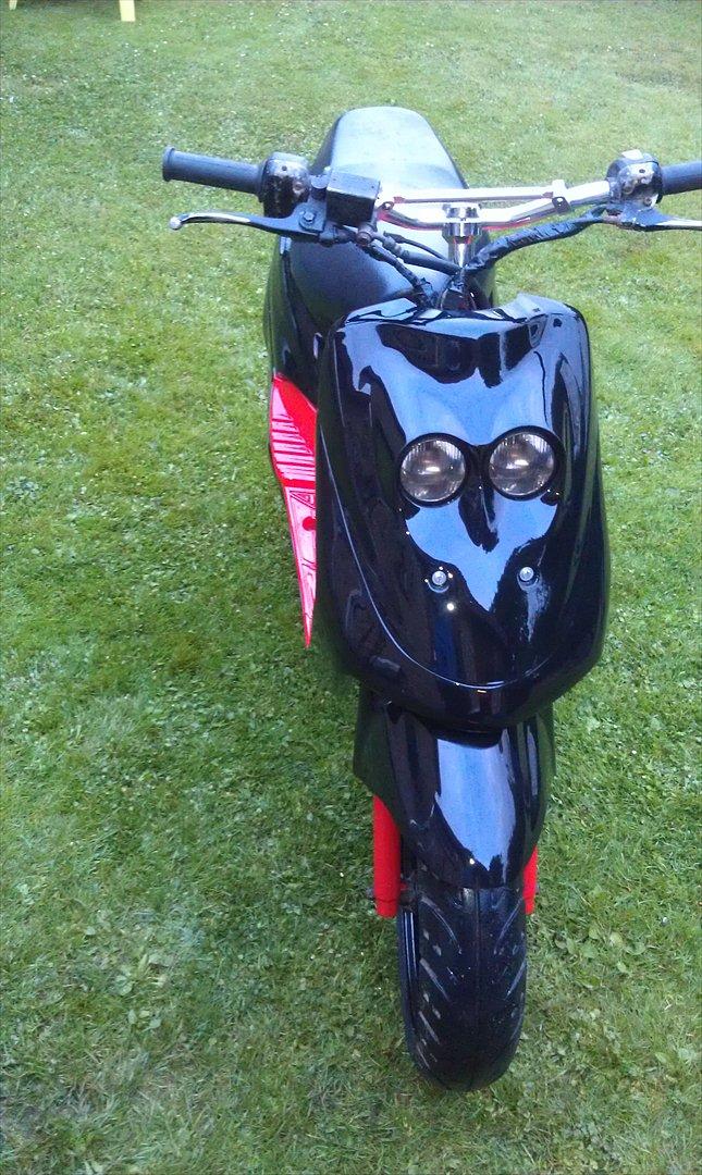 Adly cat 50 billede 3