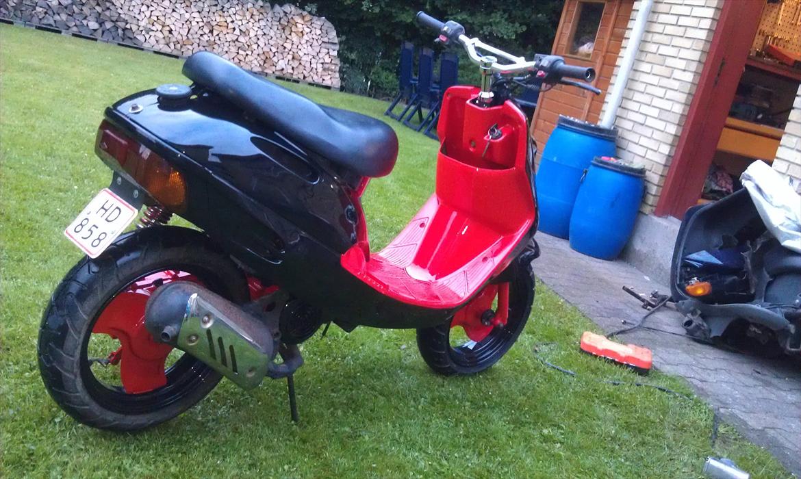 Adly cat 50 billede 4