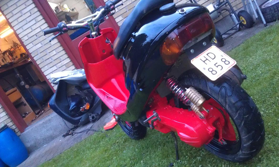 Adly cat 50 billede 6