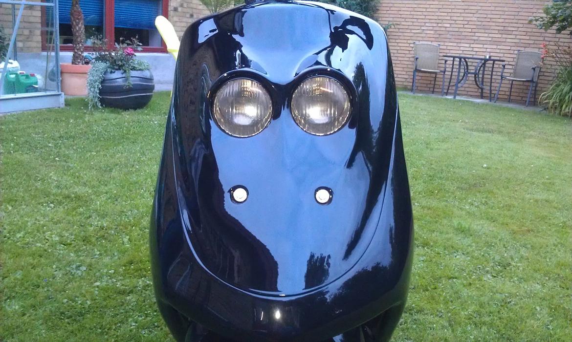 Adly cat 50 billede 7