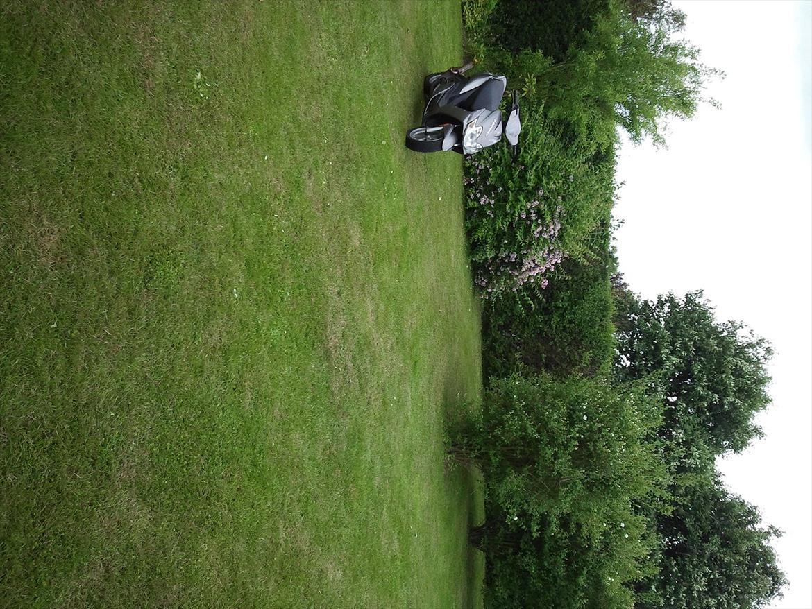 Yamaha Jog R billede 8