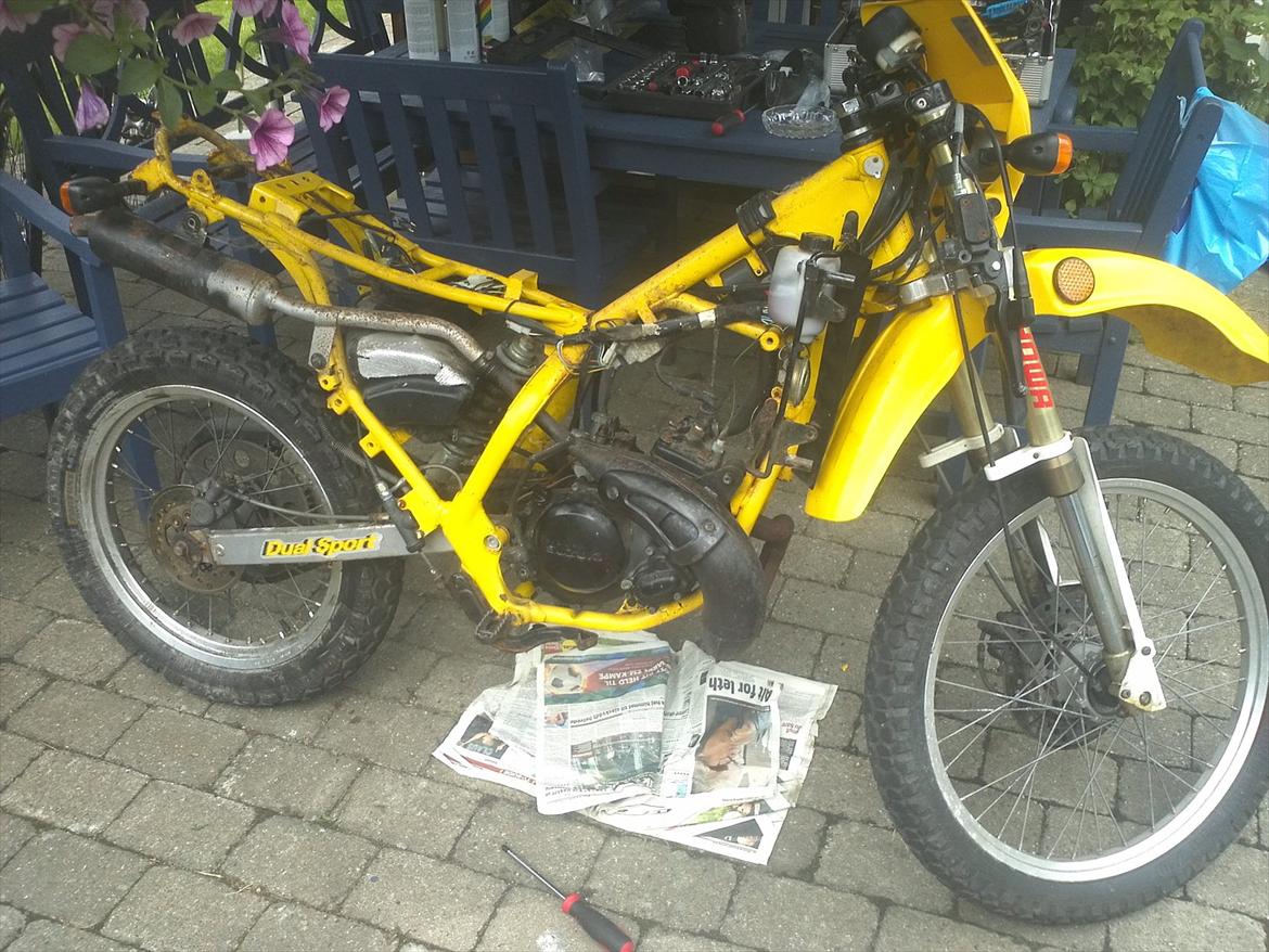 Suzuki rmx billede 13