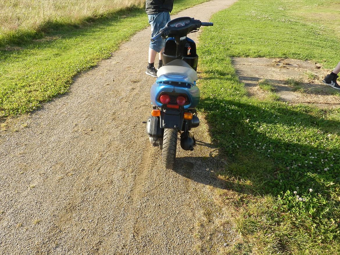 Honda SFX (SOLGT) billede 15