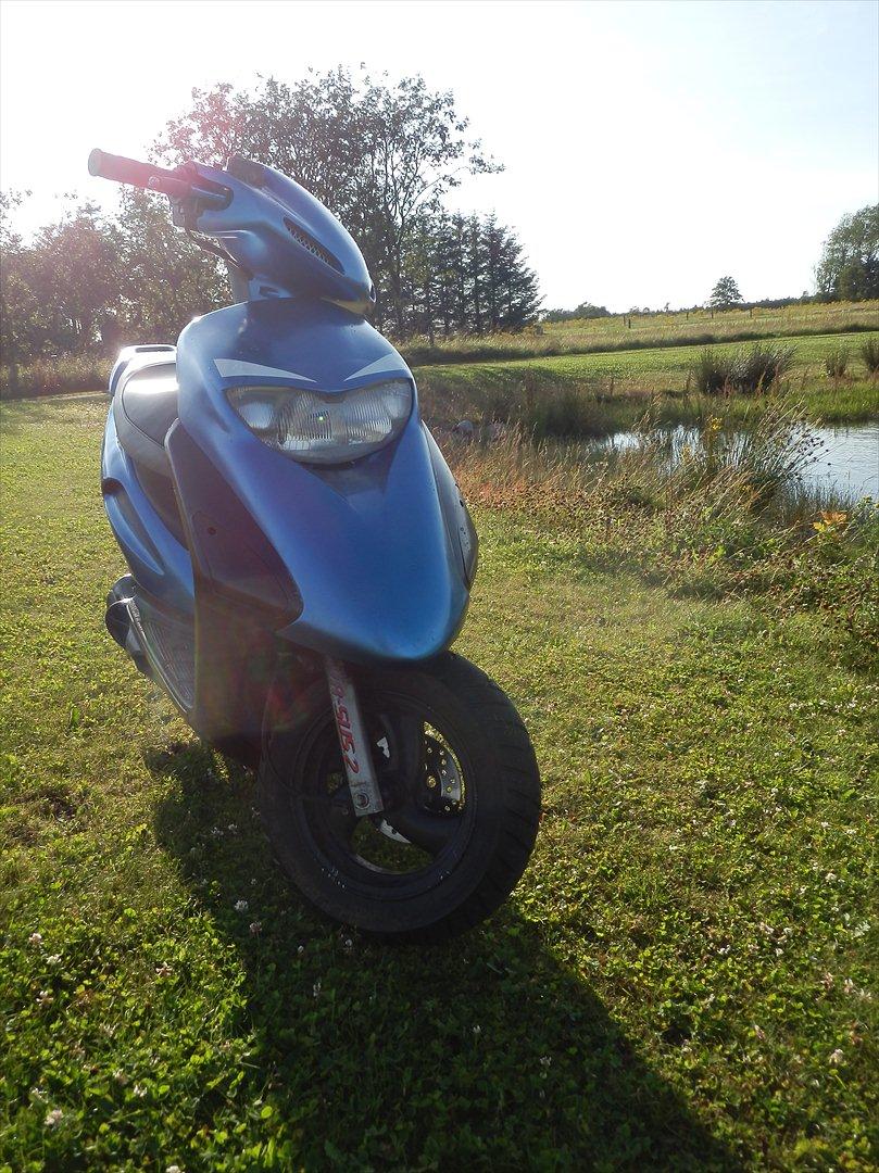 Honda SFX (SOLGT) billede 5