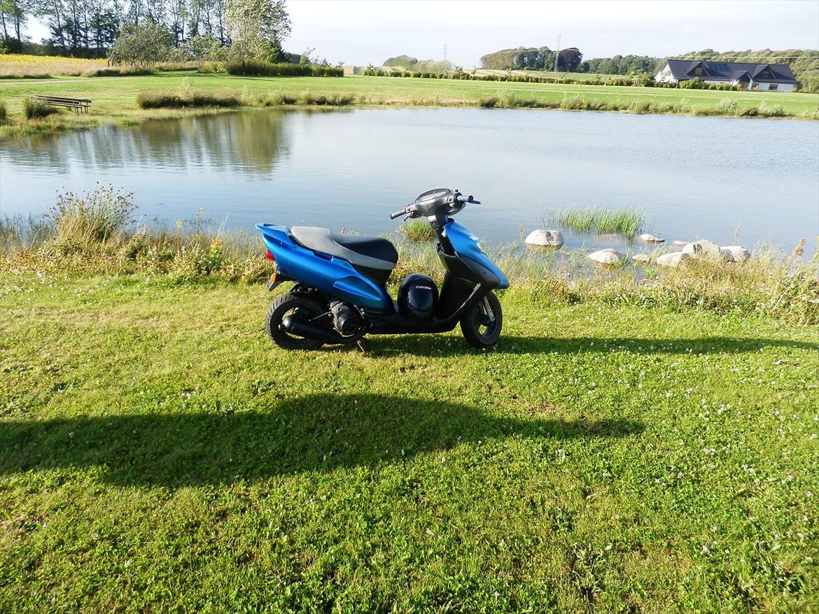 Honda SFX (SOLGT) billede 9