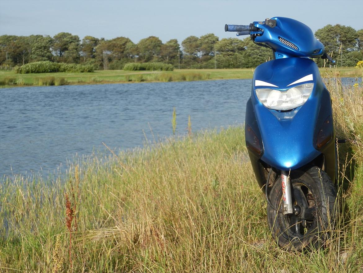 Honda SFX (SOLGT) billede 7