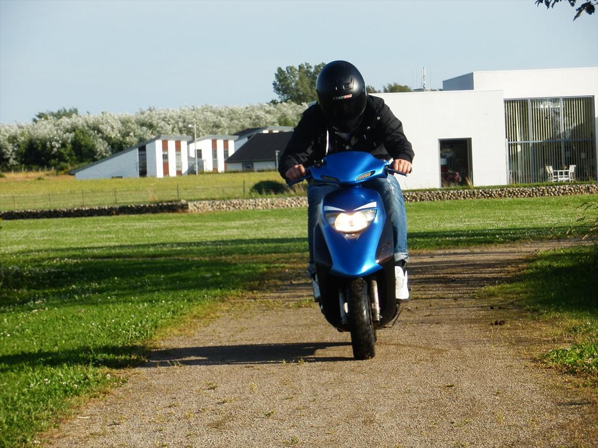 Honda SFX (SOLGT) billede 12