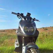 PGO Pmx Naked Carbon