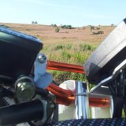 PGO Pmx Naked Carbon