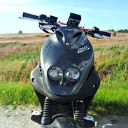 PGO Pmx Naked Carbon