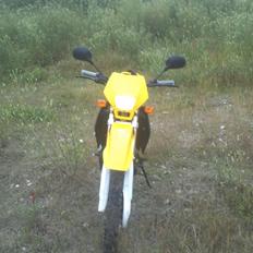 Suzuki rmx