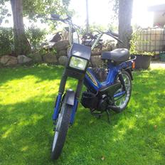 Tomos Californe 2 Gear Automatic (Eneste På S.G.)