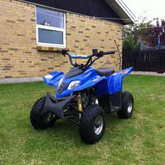 MiniBike atv lifan 110cc