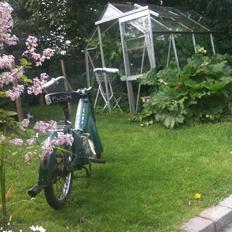 Puch Maxi K (under renovering)