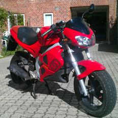 Gilera DNA
