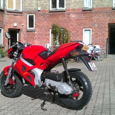 Gilera DNA