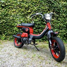 Suzuki FZ50 - Beats By Dr. Dre Tema - SOLGT