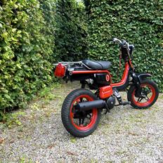 Suzuki FZ50 - Beats By Dr. Dre Tema - SOLGT