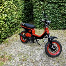 Suzuki FZ50 - Beats By Dr. Dre Tema - SOLGT