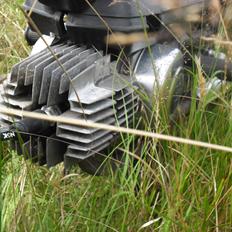 Puch maxi P1 '' THE BLACK KNIGHT''