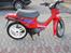 Honda wallaroo