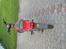 Honda wallaroo