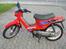 Honda wallaroo