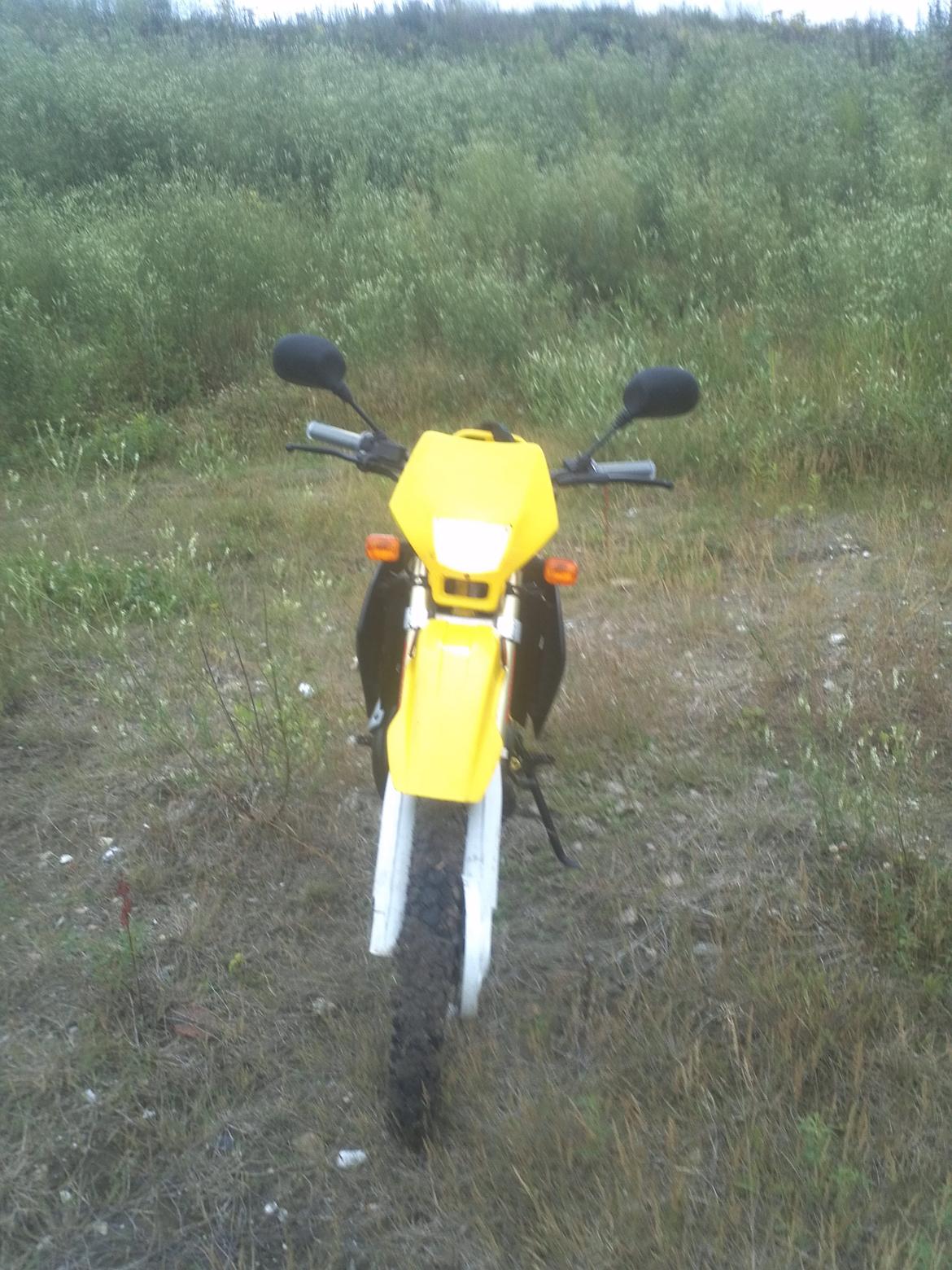 Suzuki rmx - Efter renovering billede 2