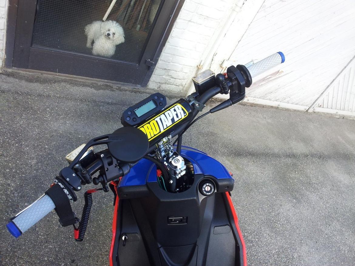 Aprilia SR Racing billede 4