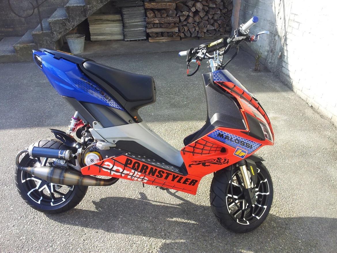 Aprilia SR Racing billede 5
