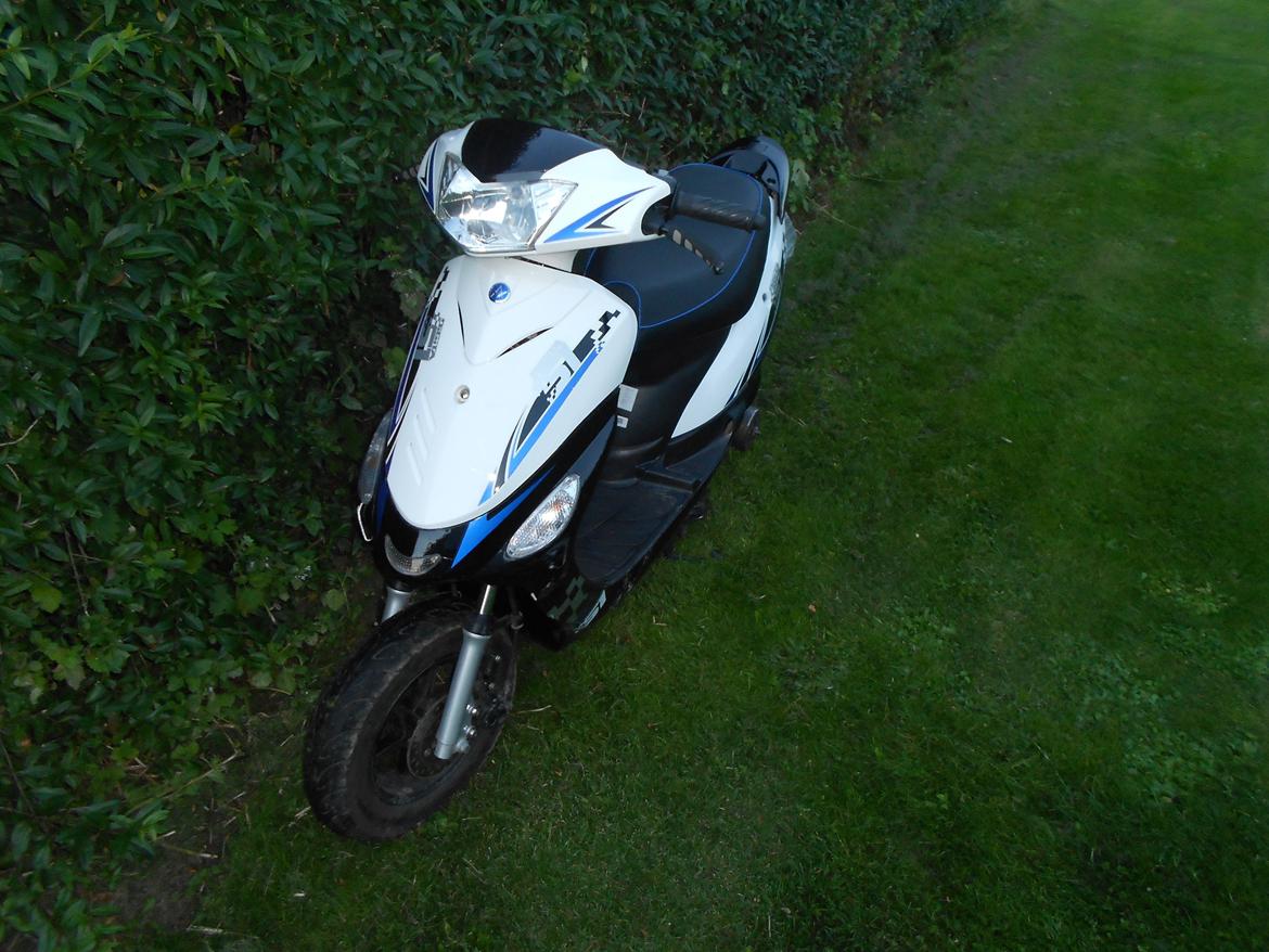 VGA DIGITA solgt billede 2