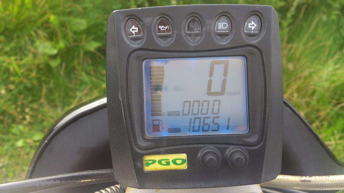 PGO PMX Naked billede 15