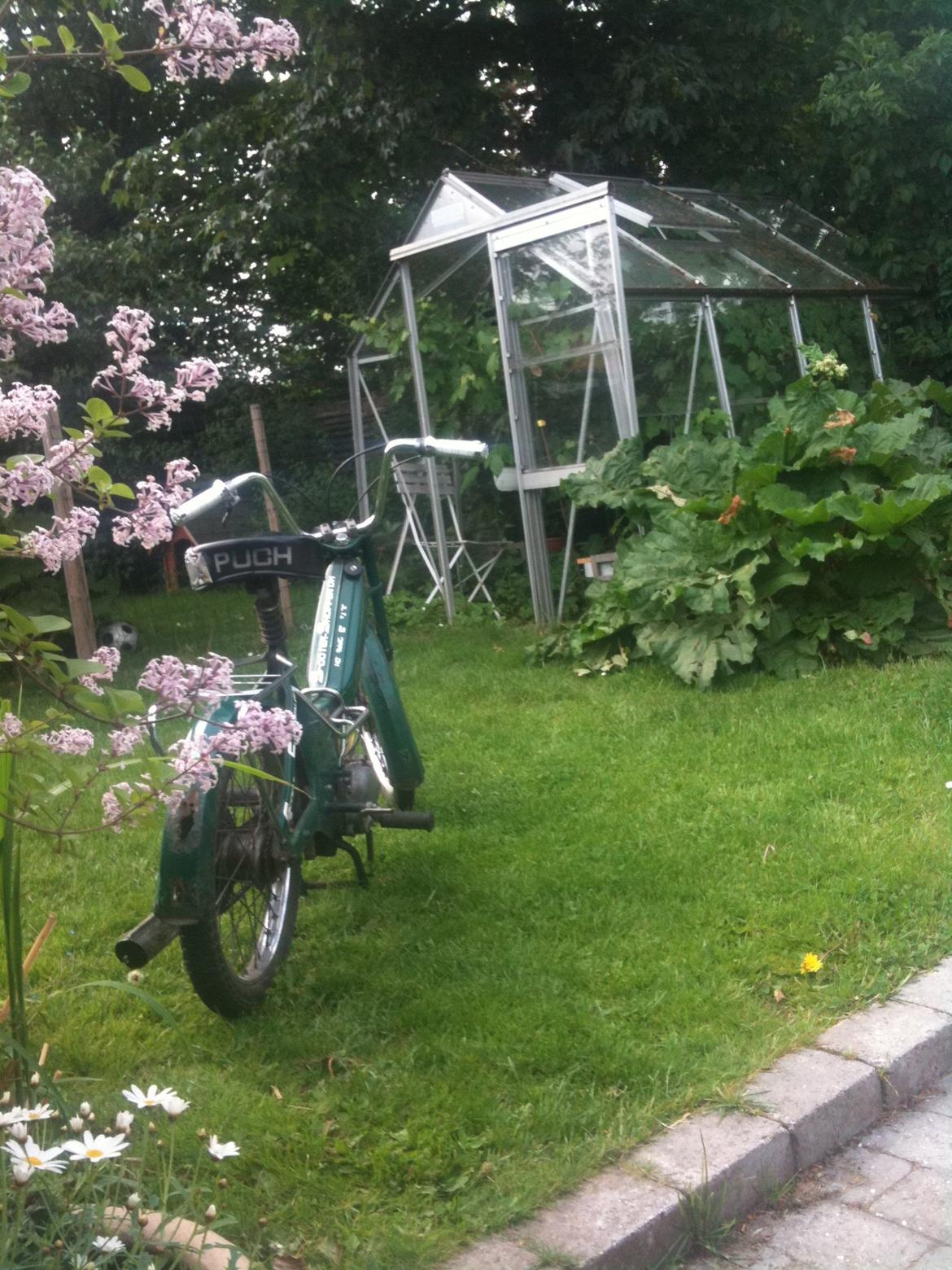 Puch Maxi K (under renovering) billede 1