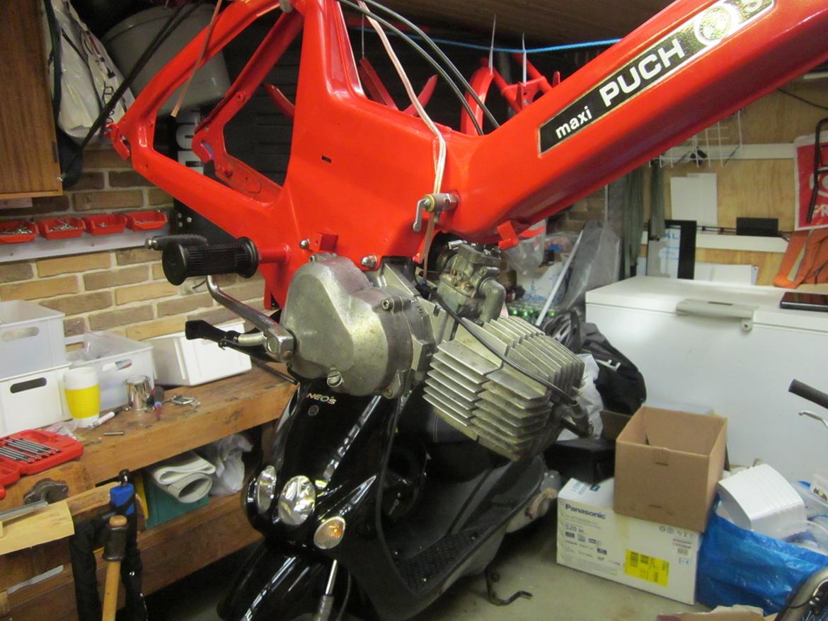 Puch Maxi billede 7