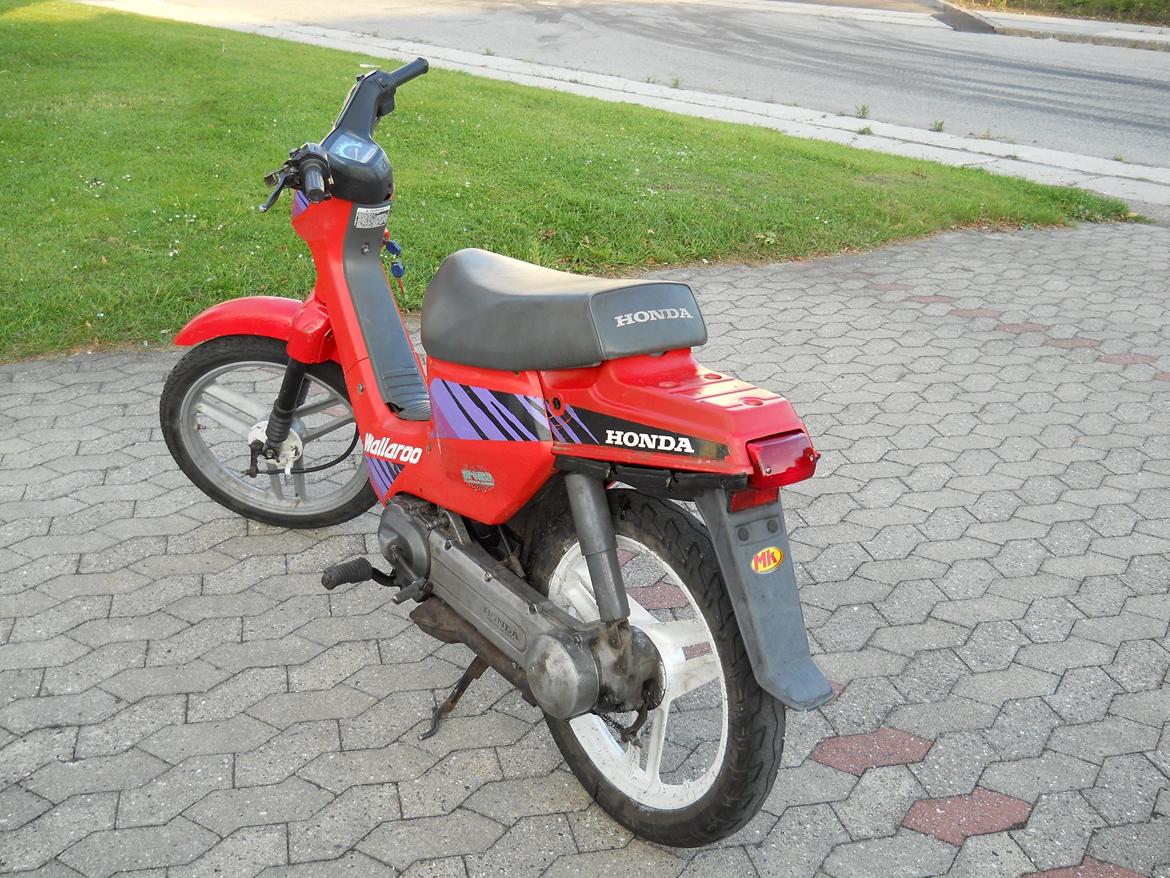 Honda wallaroo billede 6