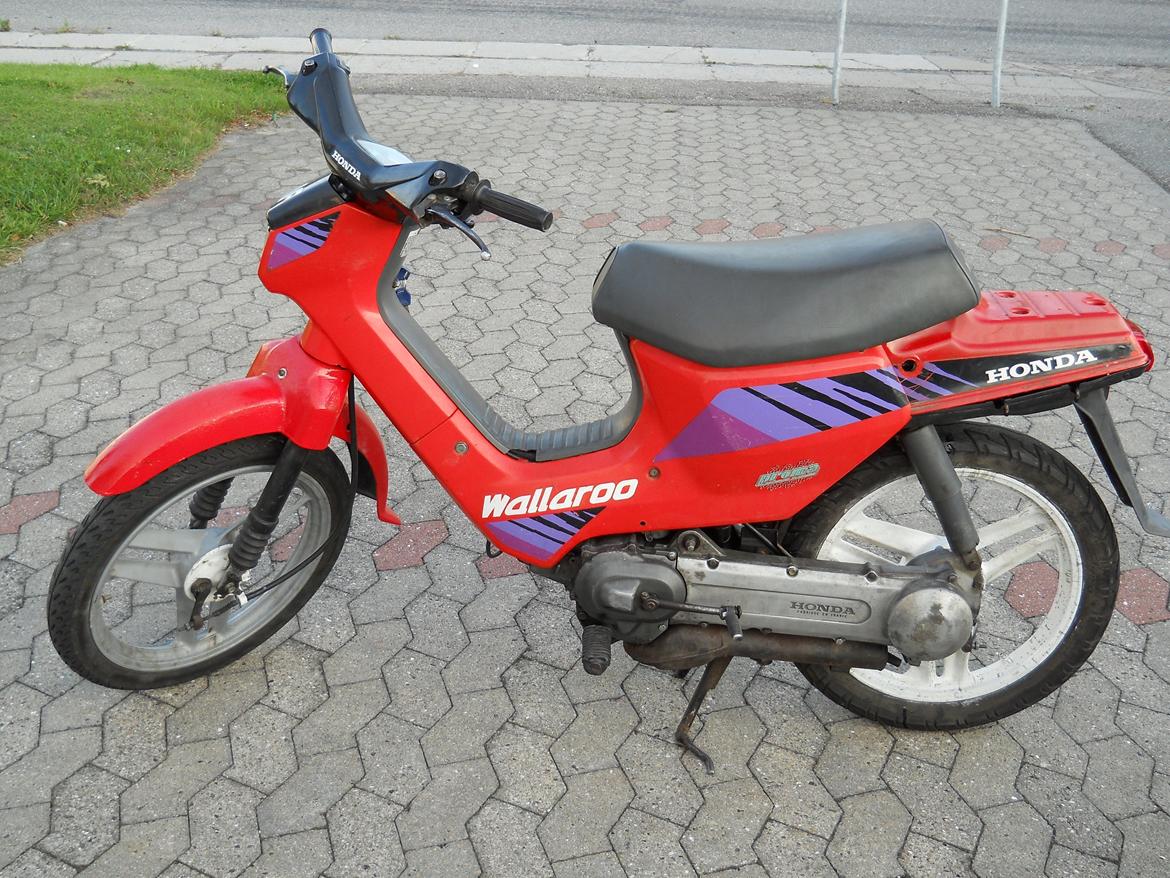 Honda wallaroo billede 7