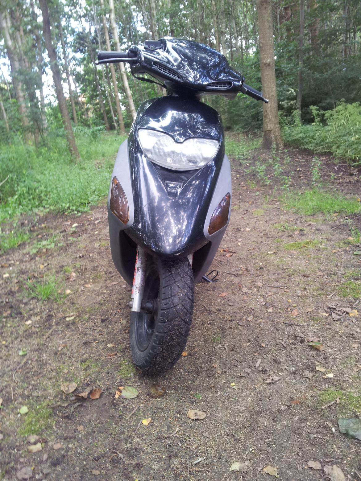 Honda Sfx billede 1