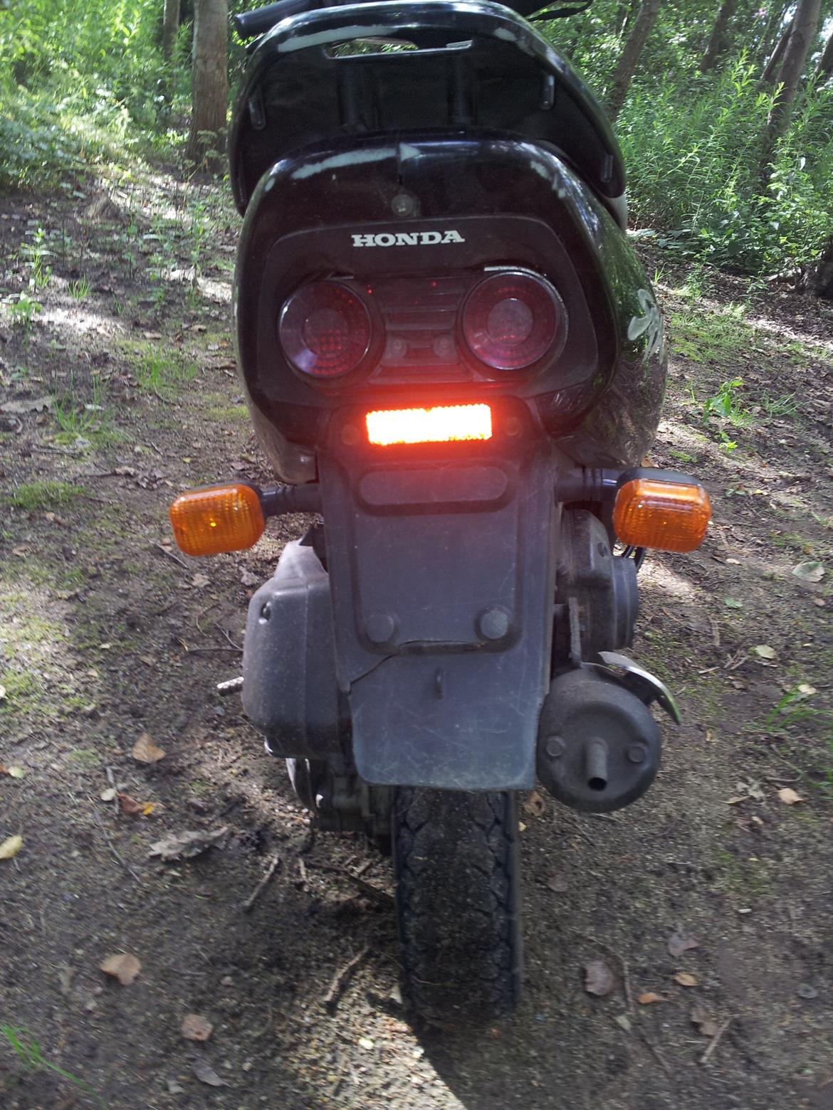 Honda Sfx billede 7